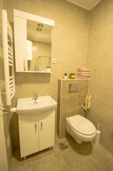 נובי סאד White Fields-Central 2-Bdrm Apartment With Parking מראה חיצוני תמונה